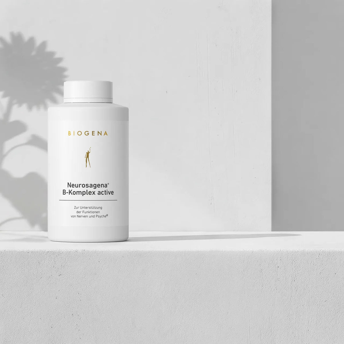 Vitamin B-Komplex Pulver [60 Kapseln] - Biogena